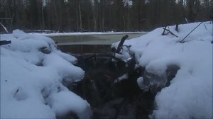 охотничьи зарисовки 19-20 без каментариев.mp4