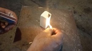 Не покупайте такого зерна свиньям и животным. Этот вредитель  съест все зерно. Амбарный долгоносик