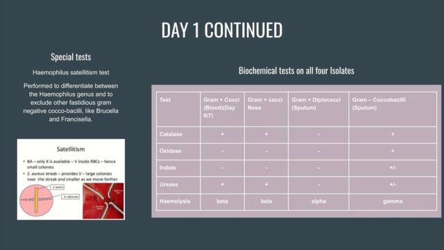 Group 10 Case 10 смотреть онлайн