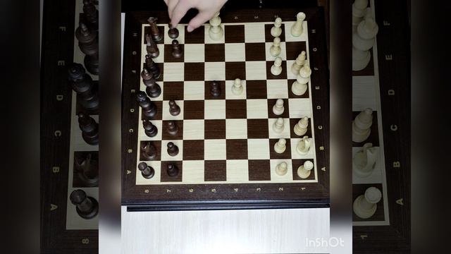 Шахматы. Частые ошибки начинающих. Шахматы с нуля
