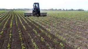 Борона — мотыга ротационная в работе