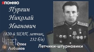Пургин Николай Иванович. Проект "Я помню" Артема Драбкина. Летчики-штурмовики.