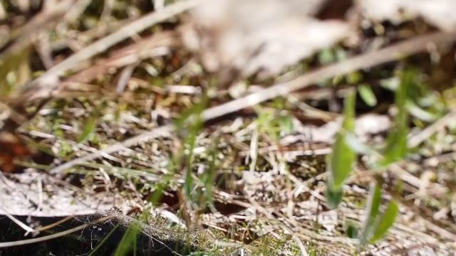 Санаторий "Альфа Радон". Мой первый мини обзор смотреть онлайн