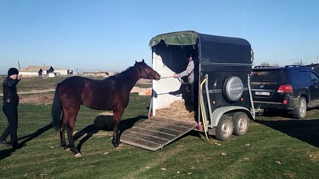 Иветта уезжает на ПМЖ в Казахстан смотреть онлайн