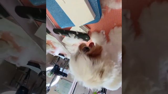 Видео для сториз 1 смотреть онлайн