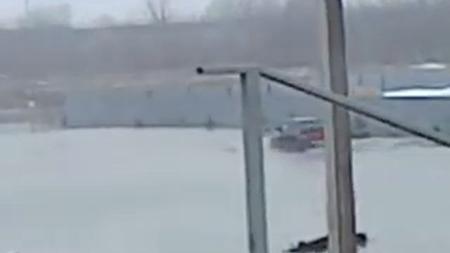 лебедянь половодка
