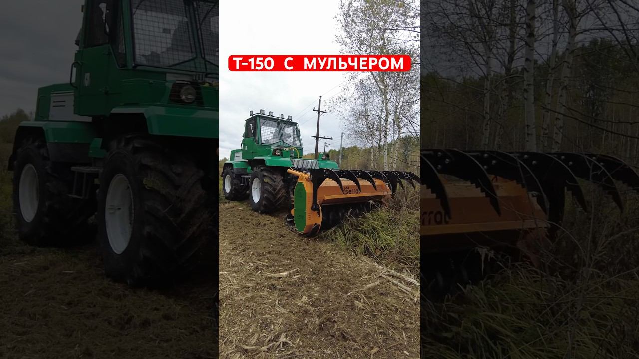 Т-150 с мульчером под лэп #т150 #мульчер #расчисткалэп #shorts