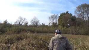 ОХОТА НА УТОК С ПОДХОДА. Видео с архива от 11.10.2021