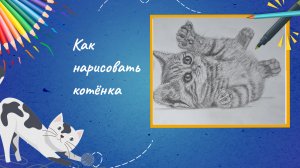 Как нарисовать котёнка