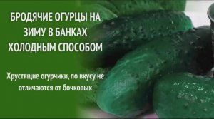 Бродячие огурцы на зиму в банках холодным способом!