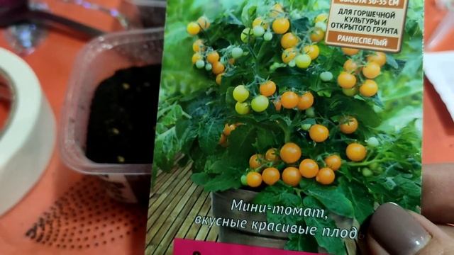 Статификация семян, эксперимент#заброшеннаядача#дача#огород#сибирь#садыроссии