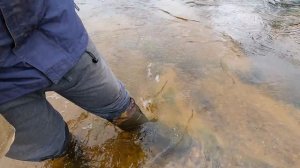 Заготовка Валежника # Живу в  ДЕРЕВНЕ# Рыбалка на р.Царева# ДЕРЕВЕНСКИЕ БУДНИ# Деревня