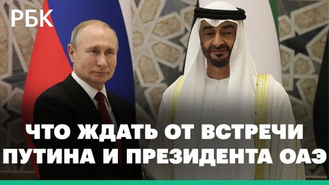 Президент ОАЭ обсудит с Путиным решения конфликта на Украине