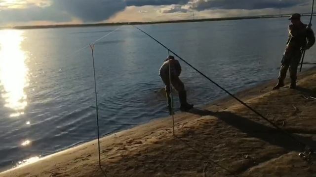 Рыбалка на Амуре 7.05.2019. Хабаровск, пляж Дальдизель. Сазан на самодельные бойлы смотреть онлайн