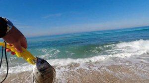 4K 02/02/2022 Ashkelon fishing Ашкелон рыбалка  אשקלון דיג