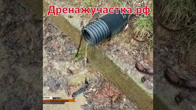 Функционирующая дренажная система - выглядит именно так.