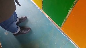 Готовый пчелопавильон. Какие цвета различают пчелы? Какие фигуры различают пчелы? Мёд Исмаил.