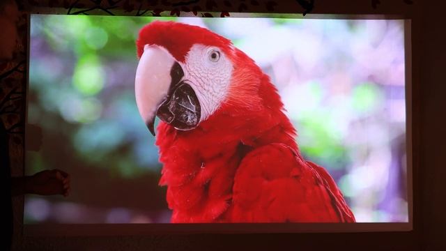 КИНО без СВЕТА с аккумуляторным проектором BYINTEK U80 на Android 11 c автофокусом. Лучший в 2023!