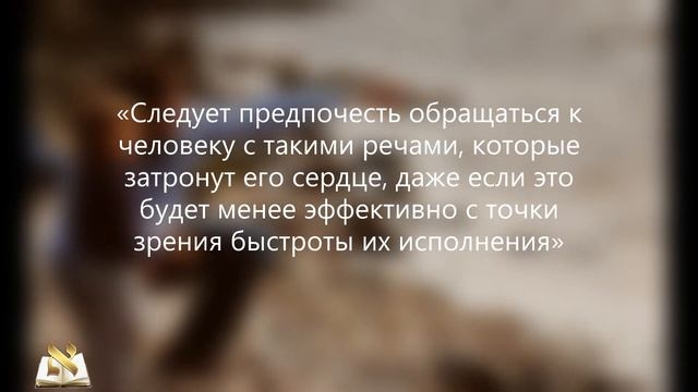 Пять еврейских советов о воспитании детей смотреть онлайн