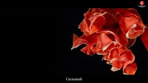 Casademont. Настоящие испанские деликатесы