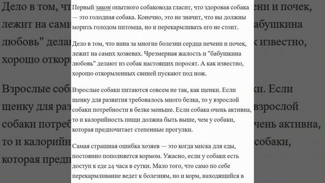 Как выбрать сухой корм для собак с аллергией