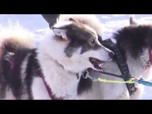 «Берингия-2018» - подводит итоги. Масс Медиа