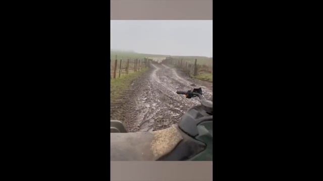 Умная Собака, Управляет Отарой ОВЕЦ! :A SMART DOG INDEPENDENTLY MANAGING A Flock of Sheep!)#shorts1