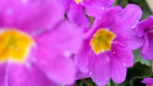 30 АПРЕЛЯ народный праздник ДЕНЬ ЗОСИМЫ. Что нельзя делать. Народные традиции, приметы и суеверия смотреть онлайн