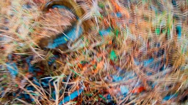 РЫБАЛКА НА НАЛИМА-ПЕРЕМёТЫ НА НАЛИМА-ЗАКИДУШКИ НА НАЛИМА-НАЛИМ НА ЕРША. смотреть онлайн