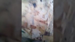 Как поливают цветы в саду