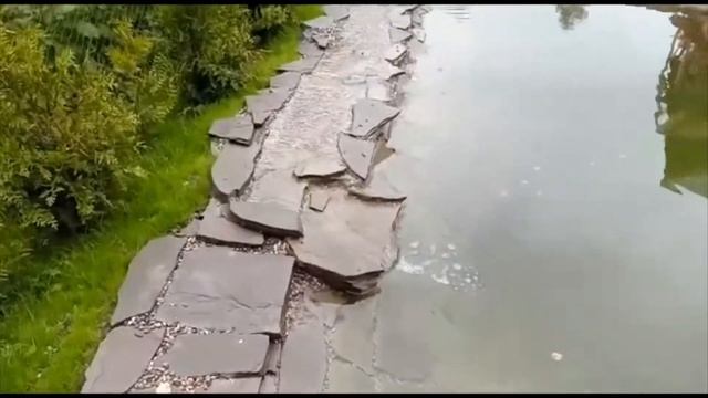 Плавательный пруд спустя 1,5 месяца