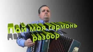 "Пой моя гармонь" песня Елены Гуляевой // разбор на гармони
