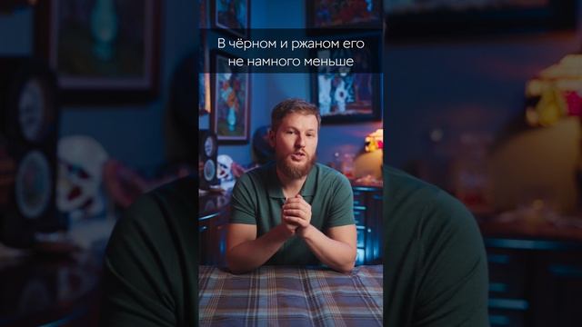 Какой хлеб вреднее, белый или черный? ?