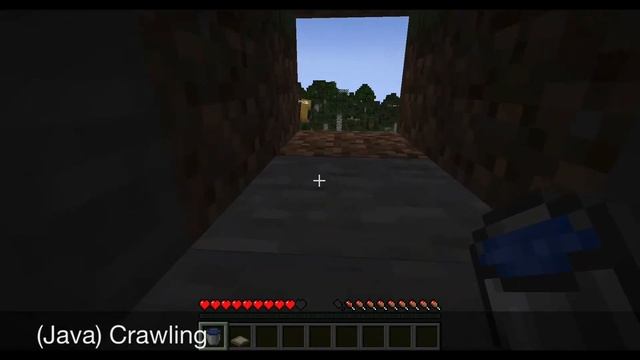 Java VS Bedrock Minecraft