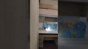 Однокомнатная квартира, переделанная в двухкомнатную