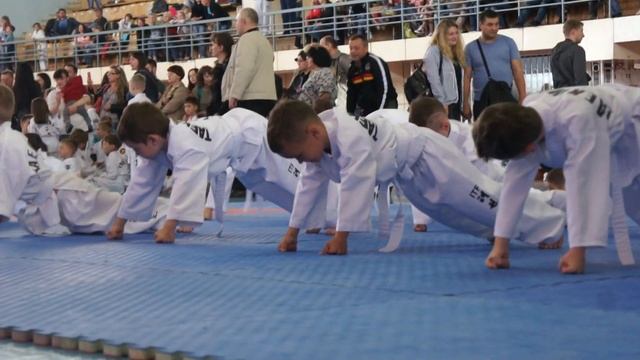 Костя, атестація на жовтий пояс по taekwondo, Київ 27.05.2015 смотреть онлайн