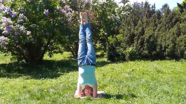 Весна  Сирень  Ширшасана смотреть онлайн