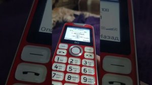 БАБУШКОФОН ВQ 2005 DISCO