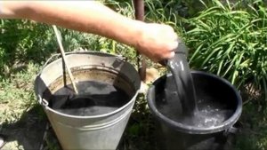 Зола для георгинов