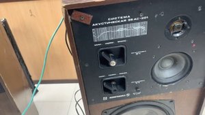 Акустика Radiotehnika 35АС-201 со встроенными усилителями