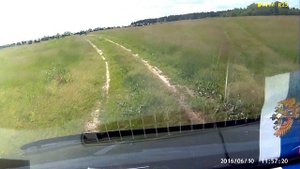 На лугу пасутся КО... ,правильно, Коровы и Телята. Стадо в поле.