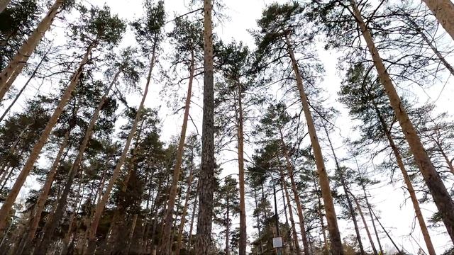 Парк культуры и отдыха им. Ю.А. Гагарина. Челябинск смотреть онлайн