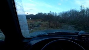 Лада Нива ТРЕВЕЛ. Сколько оборотов руля, усилие на руле, угол поворота колёс.