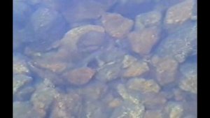 Подарок детям. Поход на гольцы.