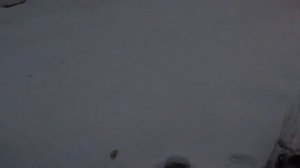 мотобуксировщик Sharmax 20 Enduro в реальных условиях!!!