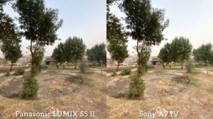 Panasonic Lumix S5 II VS Sony A7 IV Camera Comparison