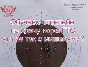 Научиться стрельбе на ГТО. Что не так с мишенями?