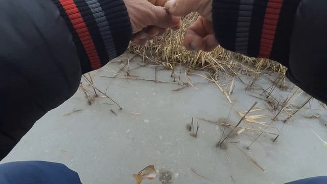 Зимняя рыбалка. Прекраснейший клёв окуня на мормышку.  Рыбалка 2023 зима.