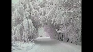 Презентация снегурочки