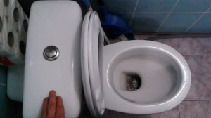 Видео: Как правильно смывать унитаз?